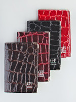 YG Обложка на паспорт GFF 