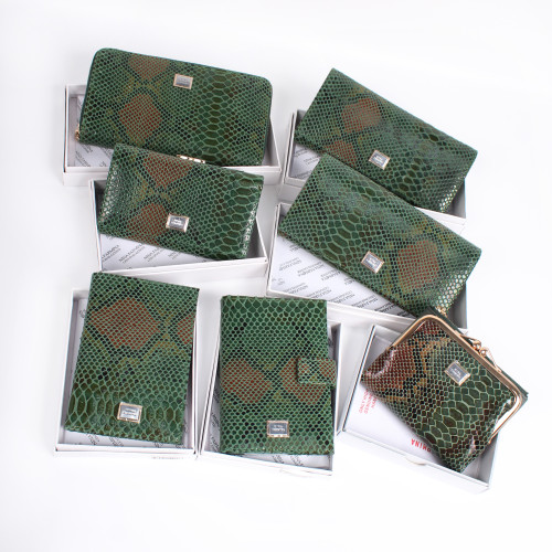 YS Женский кошелек Nina Farmina 6133-186 