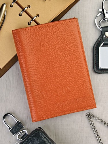 YW-66 Обложки на автодокументы с паспортом  C-077 