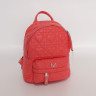 YC Рюкзак женский Alex&Mia CD-8606