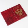 YW-29 Обложка на паспорт 